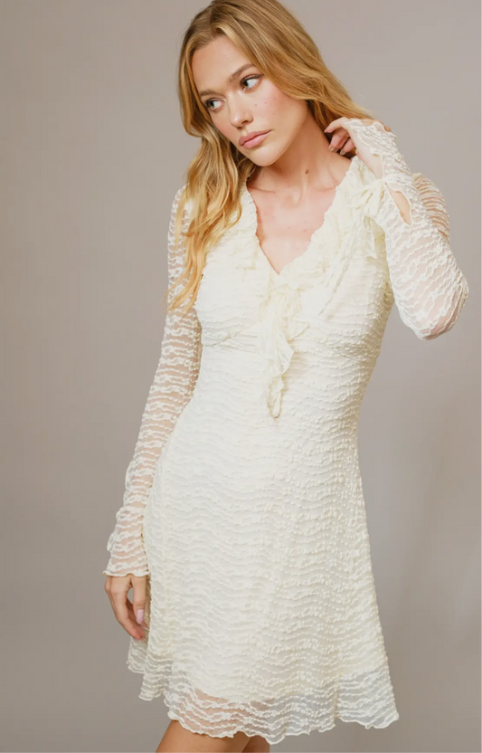 Sheer Lace Ruffle Mini Dress